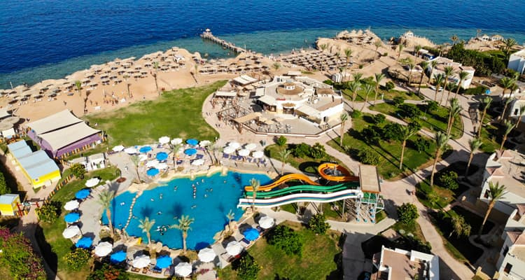 Sharm chiama Italia: Fruit presente