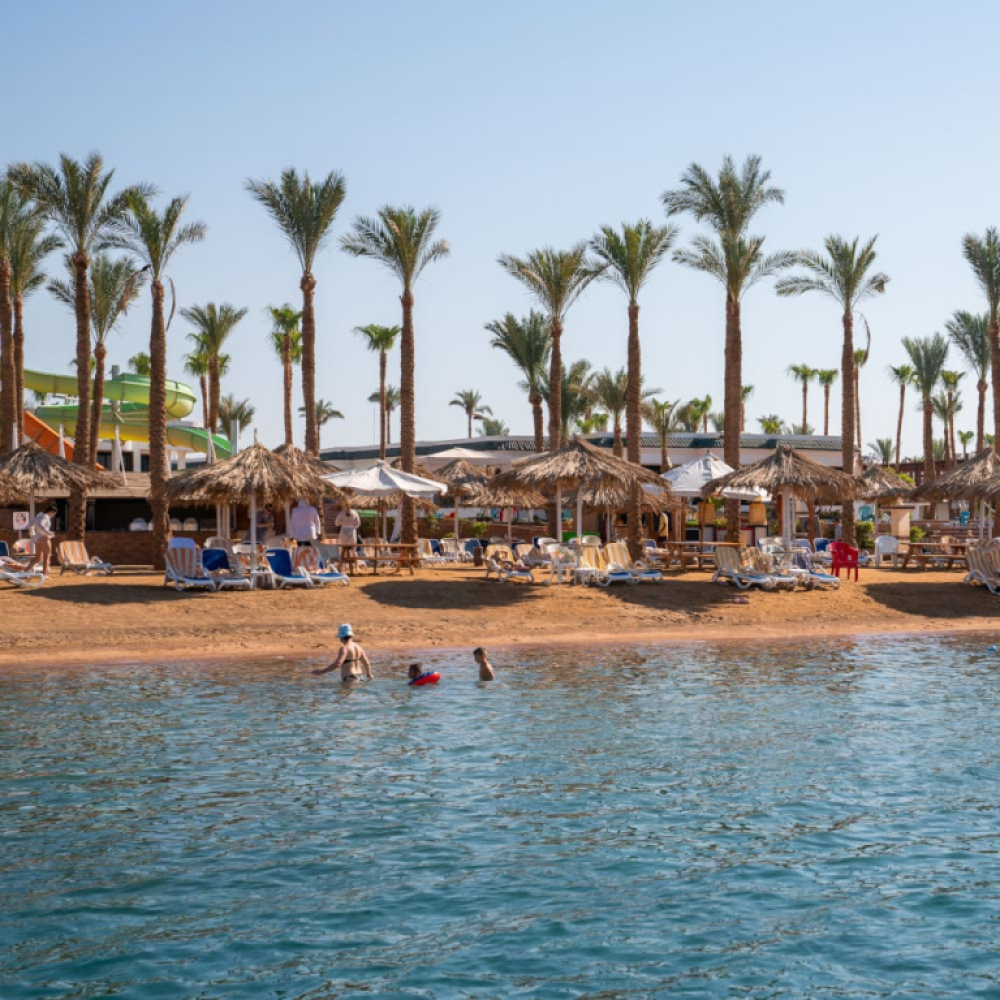 Image Fruit Village Sharm el Sheikh Seti Palm Beach 4*